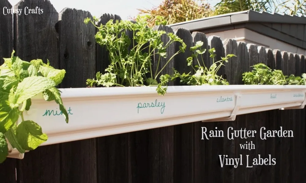 Rain gutter herb garden with vinyl labels.