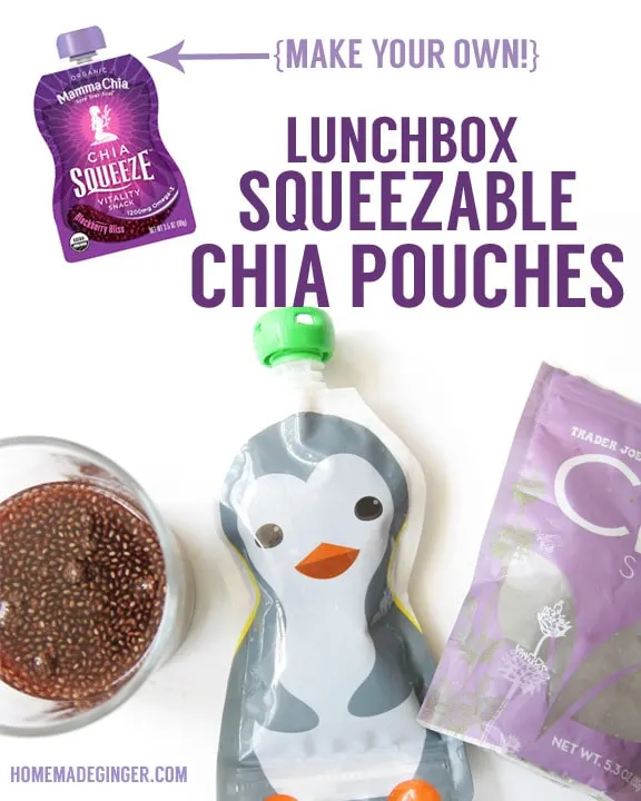 Lunchbox Squeezable Chia Pouches by Homemade Ginger