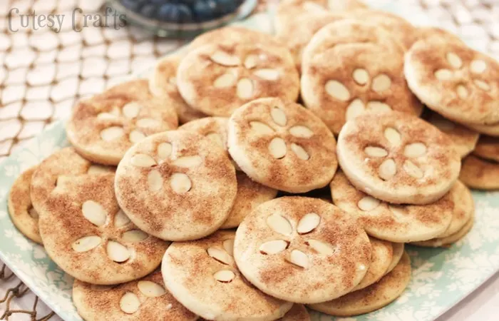 Sand Dollar Cookies for a nautical baby shower!