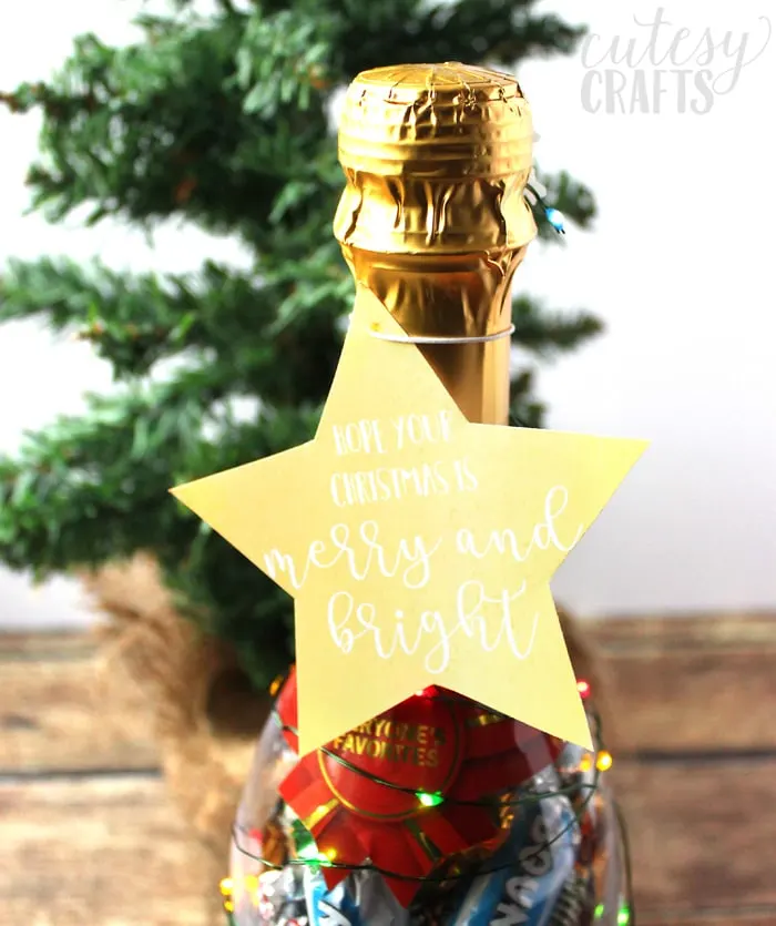 MARS® Celebrations® Bottles Neighbor Gift Idea
