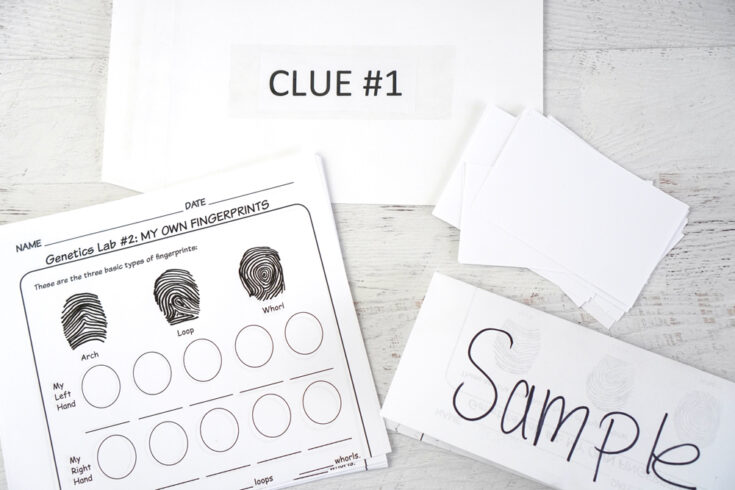 Detective Fingerprinting Kids Activity - Cutesy Crafts