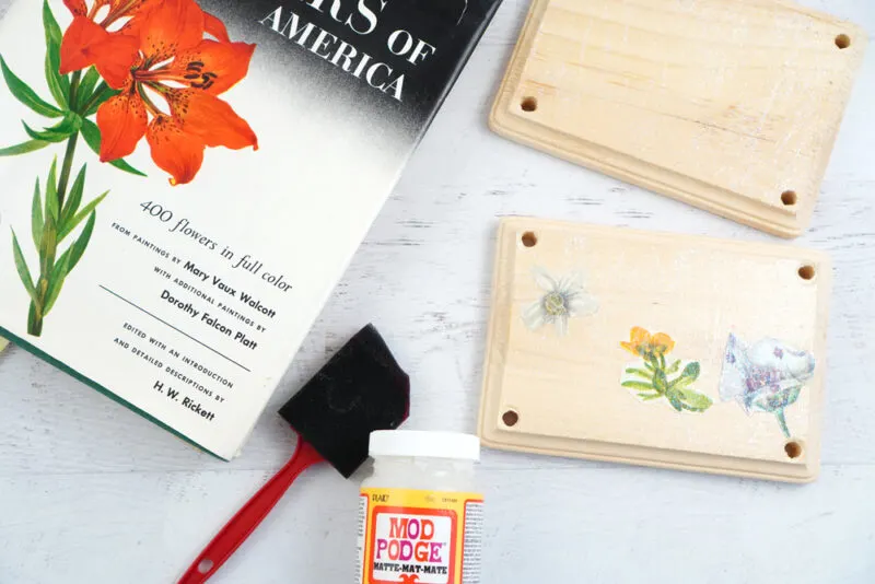 diy flower press