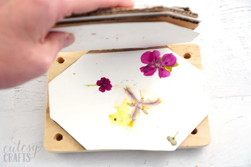 How to Make a Flower Press