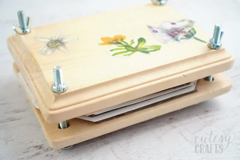 How to Make a DIY Flower Press - Woodlark Blog