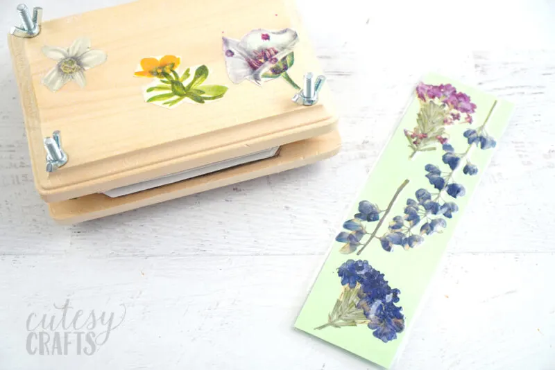 How to Make a Flower Press - Cutesy Crafts