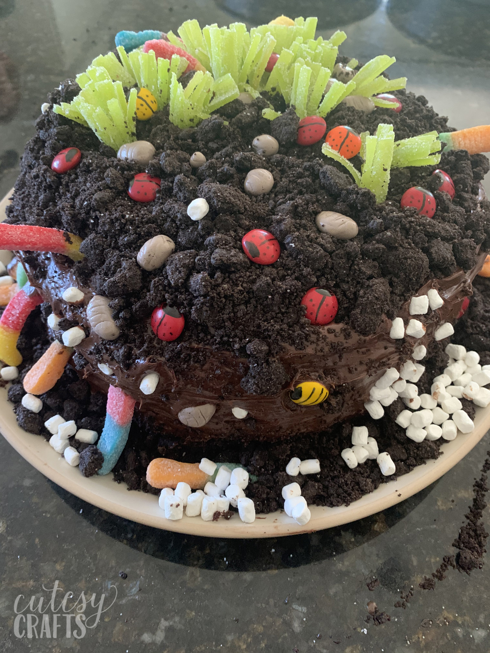 Easy DIY Bug Birthday Cake