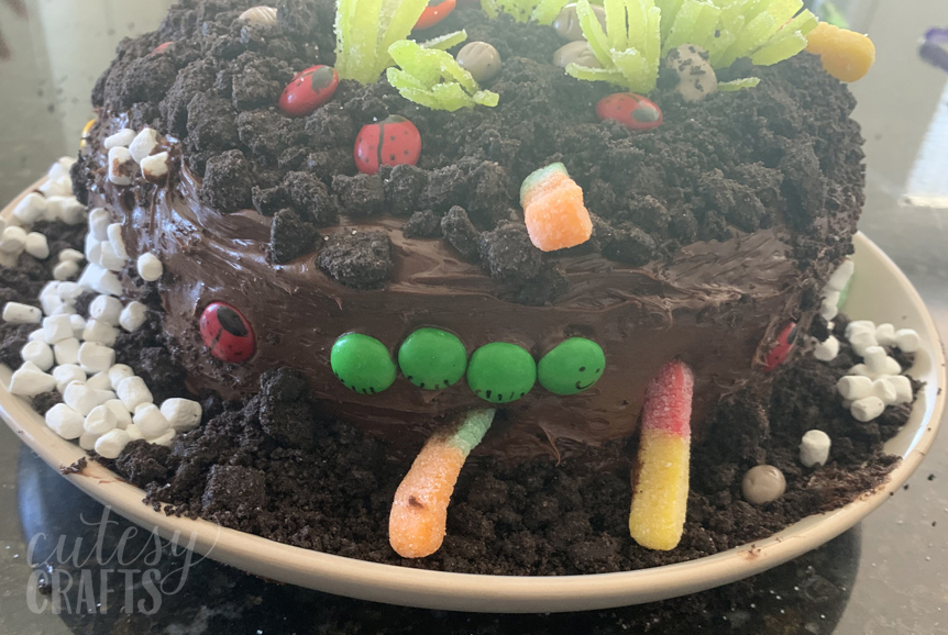 Easy DIY Bug Birthday Cake