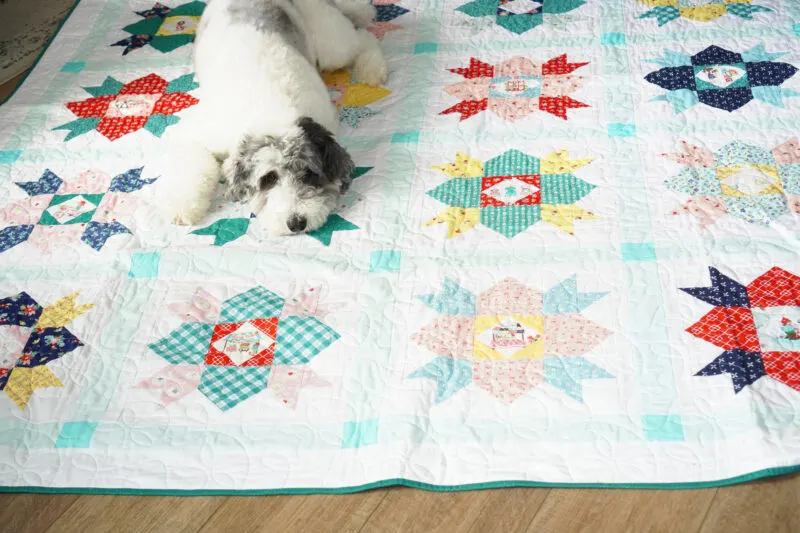 Dog on a quilt